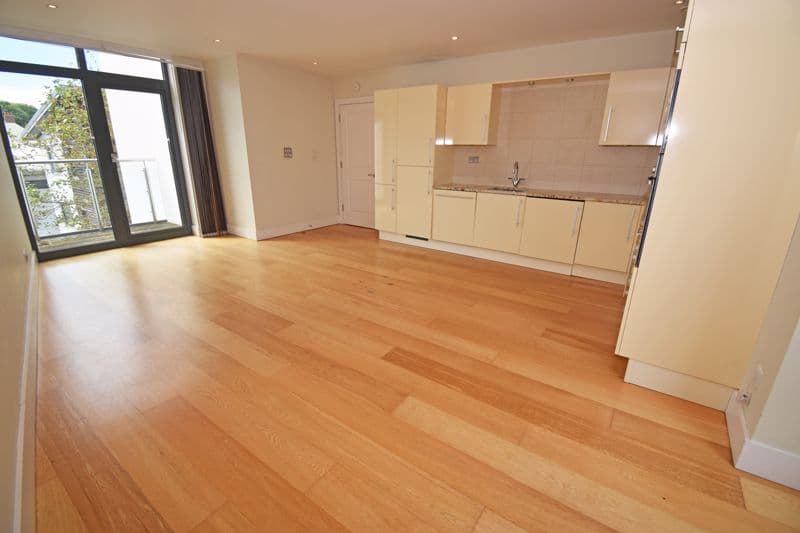 Kitchen/Lounge/Diner